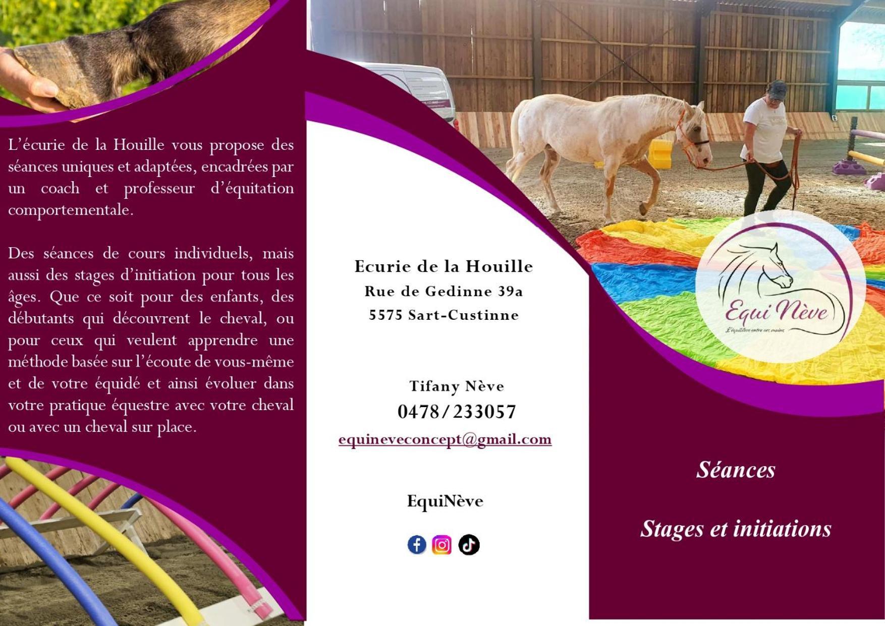 Le Relais De La Houille Βίλα Sart-Custinne Εξωτερικό φωτογραφία